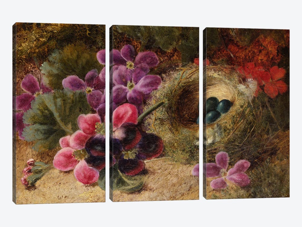 A Bird's Nest and Geraniums  by Oliver Clare 3-piece Canvas Wall Art