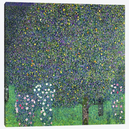 Roses under the Trees, c.1905  Canvas Print #BMN552} by Gustav Klimt Canvas Artwork