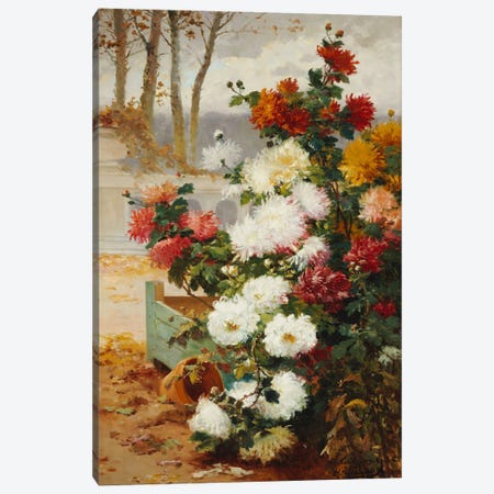 Chrysanthemums in a Walled Garden  Canvas Print #BMN5537} by Eugene Henri Cauchois Canvas Art