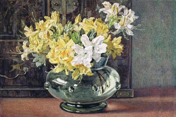 Azaleas: Azaleas by Helen Cordelia Coleman Angell