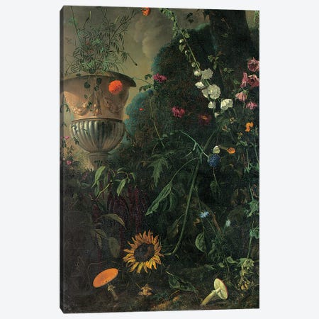 Hollyhocks, roses, a blue-lace flower, sunflower and toadstools, with marigolds in an urn by a tree  Canvas Print #BMN5568} by Matthias Withoos Canvas Wall Art