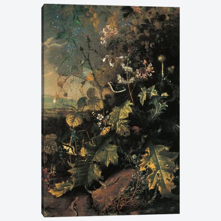 Forest floor with butterflies and lizards  Canvas Print #BMN5569} by Matthias Withoos Canvas Art