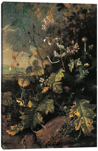 Forest floor with butterflies and lizards  Canvas Art Print