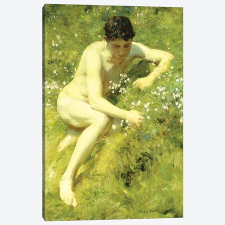 In the Meadow, 1906  Canvas Print #BMN5641} by Henry Scott Tuke Canvas Art Print
