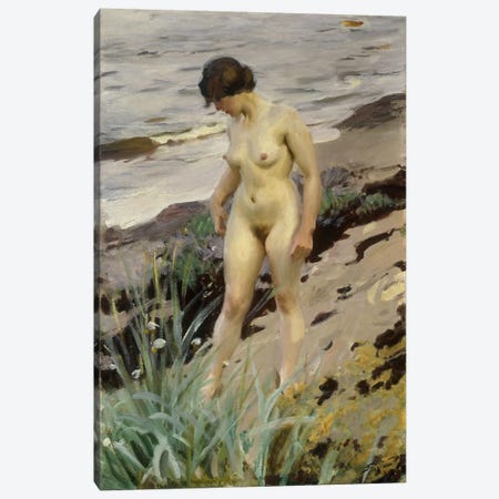 Sandhamn Study, 1914  Canvas Print #BMN5698} by Anders Leonard Zorn Canvas Artwork