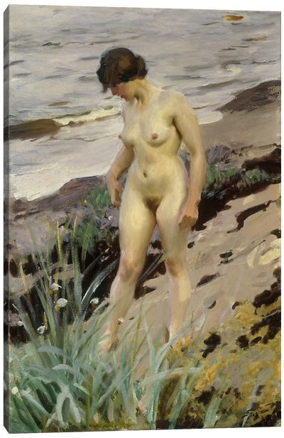 Sandhamn Study, 1914  Canvas Art Print