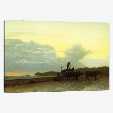 Coastal View, Newport, 1861  Canvas Print #BMN5720} by Albert Bierstadt Canvas Artwork