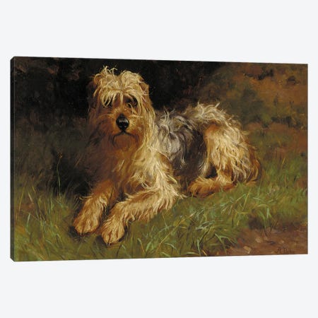 Soft Coated Wheaten Terrier  Canvas Print #BMN5796} by Alfred Duke Canvas Art