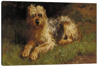 Soft Coated Wheaten Terrier  Canvas Art Print