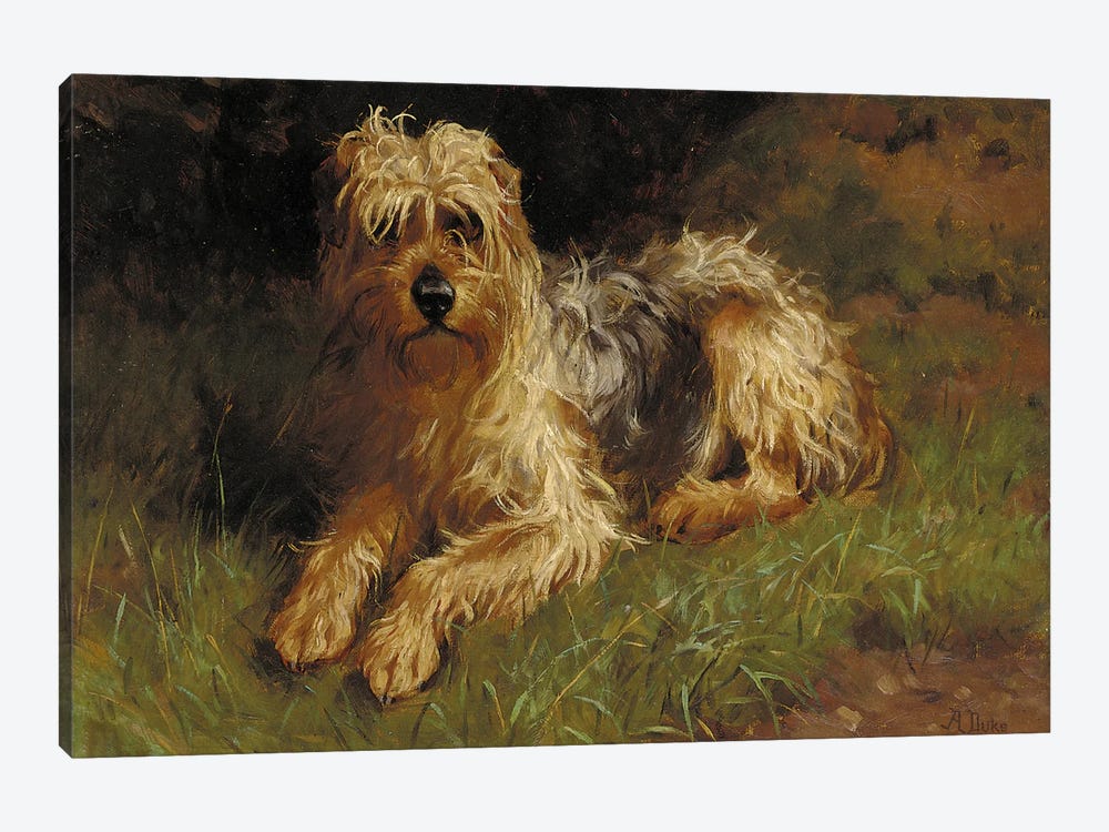 Soft Coated Wheaten Terrier  1-piece Canvas Art Print