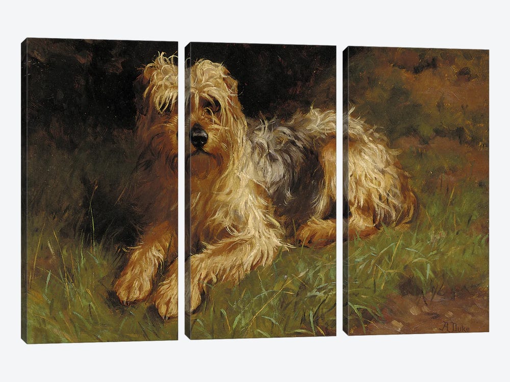 Soft Coated Wheaten Terrier  3-piece Art Print