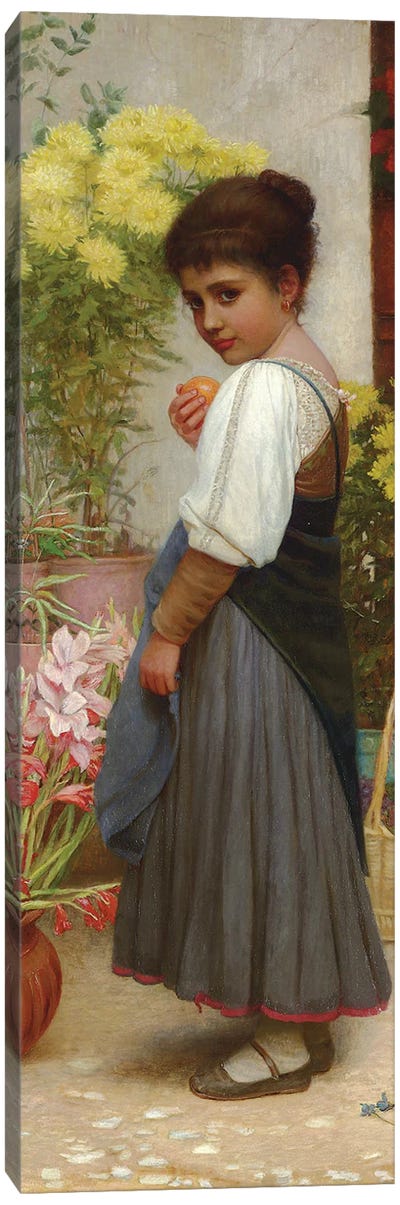 The Flower Merchant  Canvas Art Print