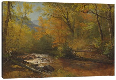 Brook in woods  Canvas Art Print - Rustic Décor