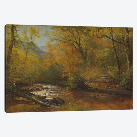 Brook in woods  Canvas Print #BMN5810} by Albert Bierstadt Canvas Art