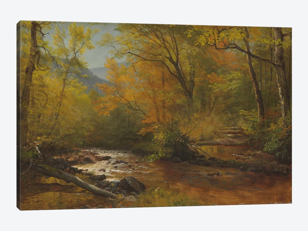 Brook in woods  by Albert Bierstadt 1-piece Art Print