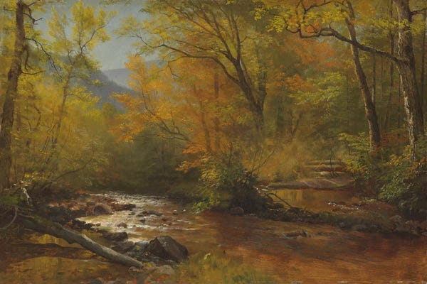 Albert Bierstadt: Brook in woods  by Albert Bierstadt