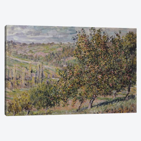 Apple Blossom, 1878  Canvas Print #BMN5843} by Claude Monet Canvas Art Print