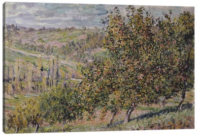 Apple Blossom, 1878  Canvas Art Print - Apple Tree Art
