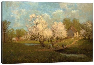 Spring Blossoms  Canvas Art Print