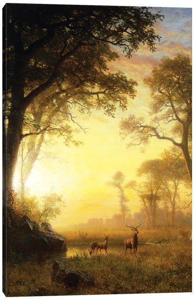 Light in the Forest,  Canvas Art Print - Albert Bierstadt
