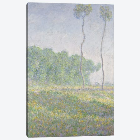 Landscape in the Spring  Canvas Print #BMN5892} by Claude Monet Canvas Art