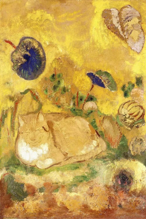 Bazon, the Artist's Cat; Bazon, le Chat de l'Artiste, c.1905  by Odilon Redon wall art