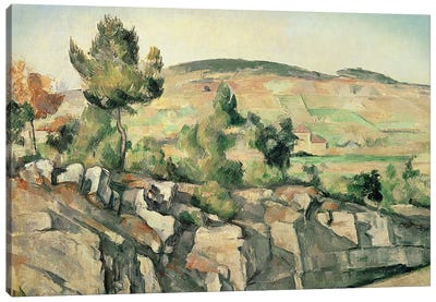 Hillside in Provence, c.1886-90  Canvas Art Print