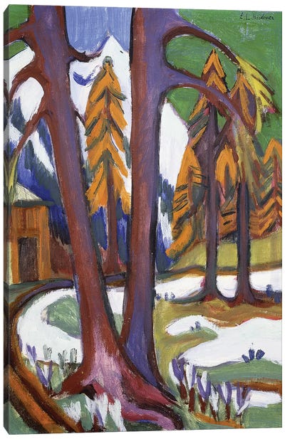 Mountain-Early Spring with Larchen; Berg-Vorfruhling mit Larchen, c.1921-1923  Canvas Art Print - Ernst Ludwig Kirchner