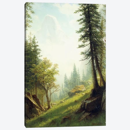 Among the Bernese Alps,  Canvas Print #BMN5991} by Albert Bierstadt Art Print