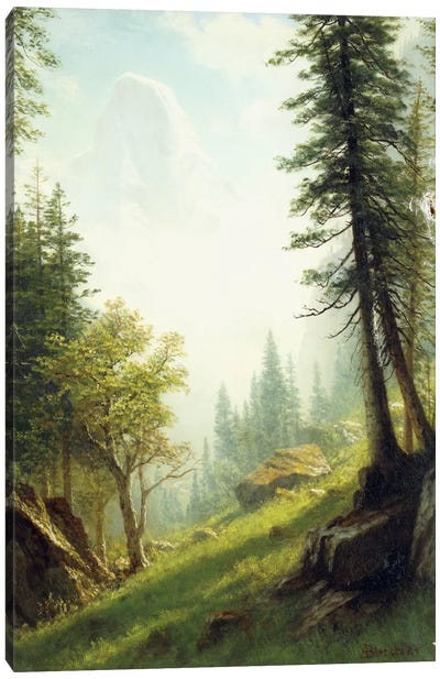 Among the Bernese Alps,  Canvas Art Print - Pine Tree Art