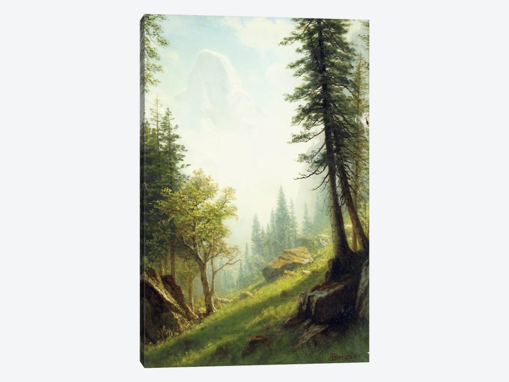 Among the Bernese Alps,  by Albert Bierstadt 1-piece Canvas Art Print