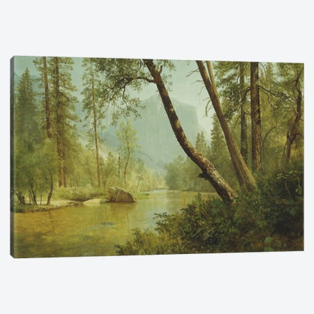 Sunlit Forest  Canvas Print #BMN6006} by Albert Bierstadt Canvas Art