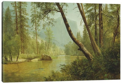 Sunlit Forest  Canvas Art Print - Hudson River School Art