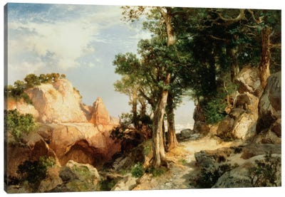On the Berry Trail - Grand Canyon of Arizona, 1903  Canvas Art Print