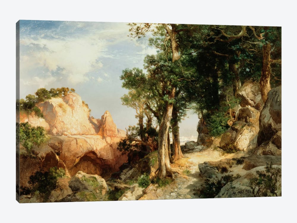 On the Berry Trail - Grand Canyon of Arizona, 1903  by Thomas Moran 1-piece Canvas Print