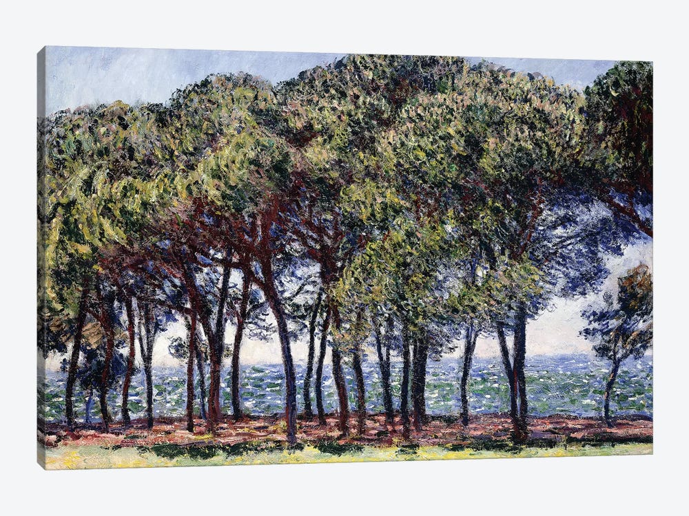 Pines, Cap d'Antibes, 1888  1-piece Canvas Art Print