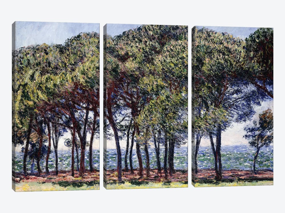 Pines, Cap d'Antibes, 1888  by Claude Monet 3-piece Canvas Print