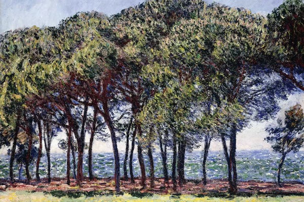 Claude Monet: Pines, Cap d'Antibes, 1888  by Claude Monet