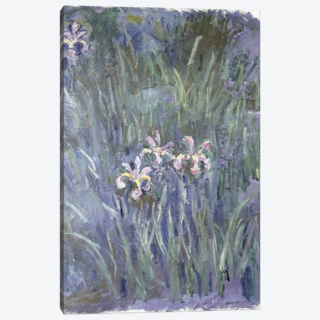 Iris, c.1914-1917  Canvas Print #BMN6044} by Claude Monet Canvas Wall Art