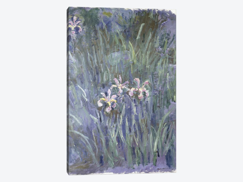 Iris, c.1914-1917  1-piece Art Print