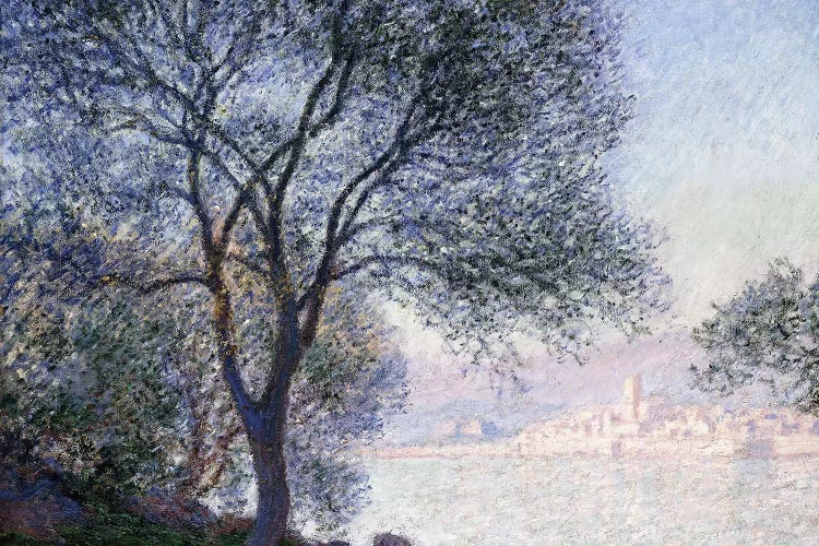Antibes seen from the Salis, 1888 