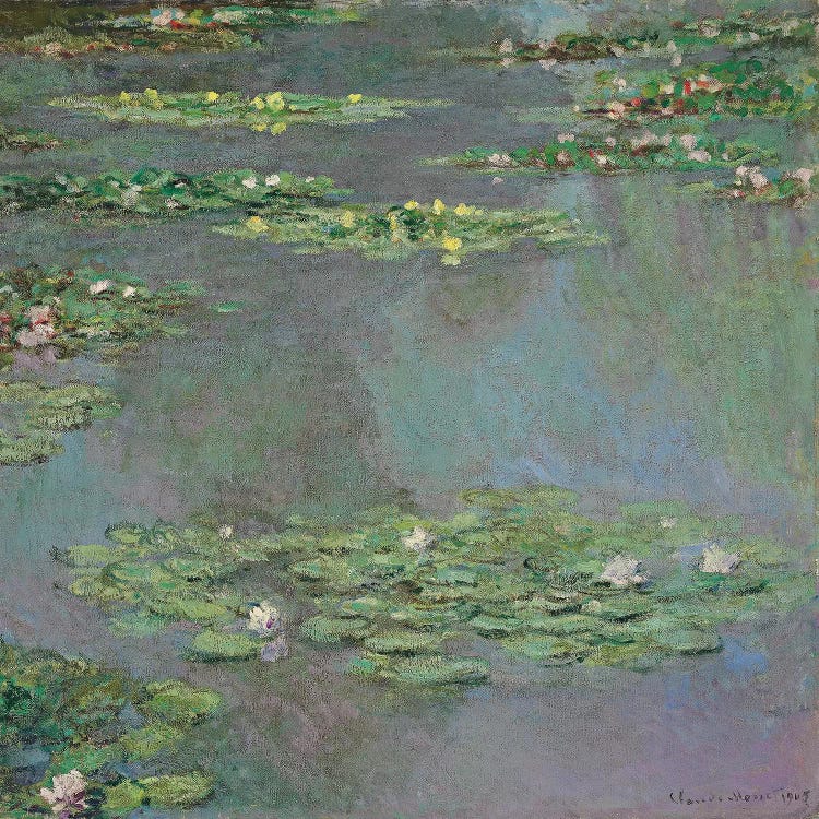 Water Lilies, 1905 