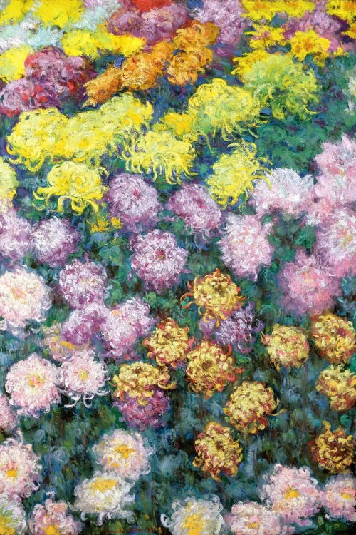 Massif de Chrysanthemes, 1897  by Claude Monet wall art