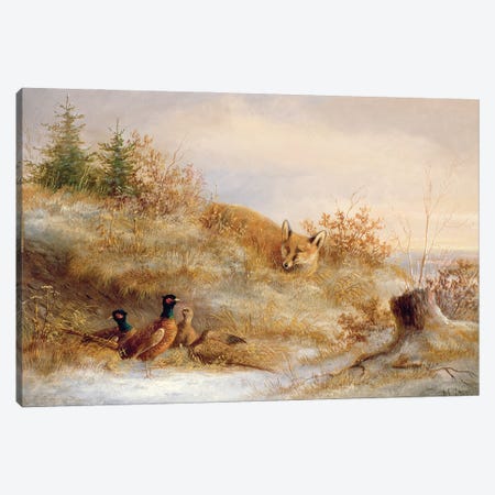 Fox and Pheasants in Winter  Canvas Print #BMN611} by Unknown Artist Canvas Art Print