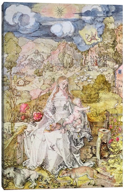 Madonna and Child  Canvas Art Print - Albrecht Durer