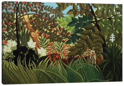 Exotic Landscape (Suzuki Collection) Canvas Art Print - Primate Art