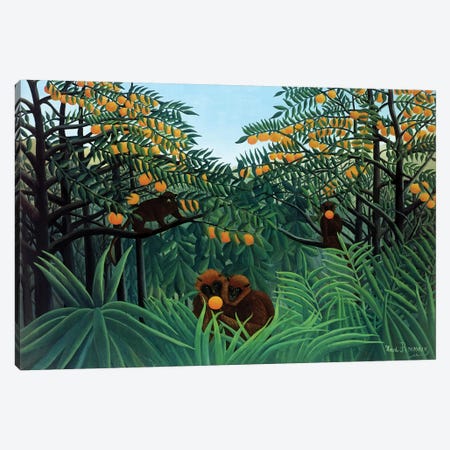 Monkeys In The Jungle, 1910 Canvas Print #BMN6297} by Henri Rousseau Canvas Art Print