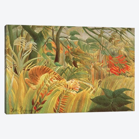 Tiger In A Tropical Storm (Surprised!), 1891 Canvas Print #BMN6338} by Henri Rousseau Art Print