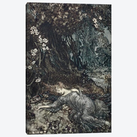 Tatiana Lying Asleep (Illustration From William Shakespeare's A Midsummer Night's Dream), 1908 Canvas Print #BMN6361} by Arthur Rackham Canvas Art