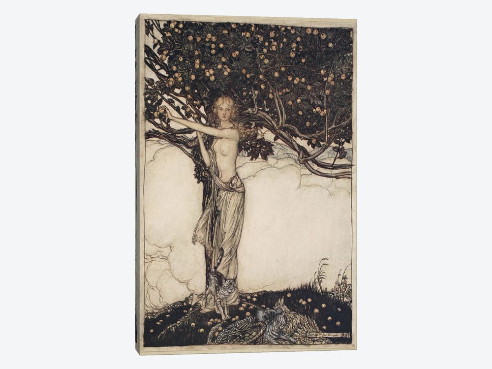 Freia, The Fair One (Illustration From Richard Wagner's The Rhinegold & The Valkyrie), 1910 by Arthur Rackham 1-piece Canvas Artwork